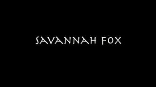Savannah Fox kiveri a bájdorongot