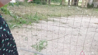 Kívánatos barinő várja a kárót