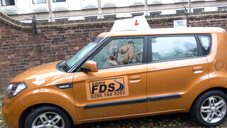 Fake Driving School - Louise Lee kedveli a gigászi dárdát